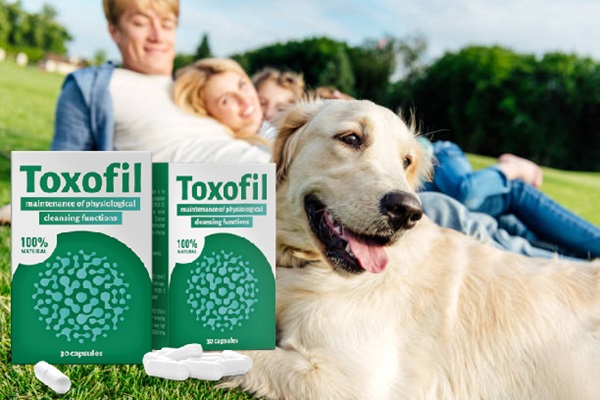 Toxofil Цена в България 